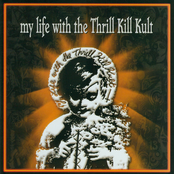 My Life With The Thrill Kill Kult: My Life With The Thrill Kill Kult