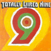 Totally Wired - A Collection From Acid Jazz Records - Vol. 9
