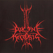 Arcane Necrosis