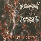 Supreme Brutal Legions Volume 2