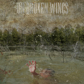 On Broken Wings: Going Down