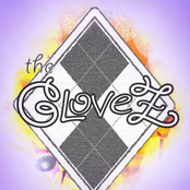 The Glovez