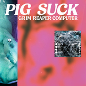 PIGSUCK