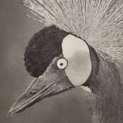 Transmissions From The Telos Vol. IV