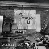 Crooked Tree