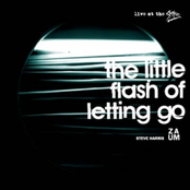 The Little Flash Of Letting Go