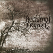 Hymn To Eternal November by Nocturnal Degrade