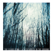 Blood And Wood by The Cloud Hymn