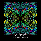 Electric Vision
