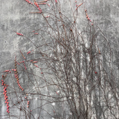 Left Field / Halifax