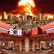 On top of the food chain