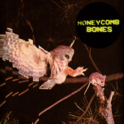 Honeycomb Bones EP