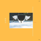 LIFE