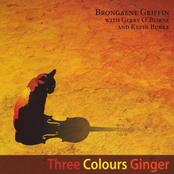 Brongaene Griffin: Three Colours Ginger