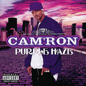 Cam'ron: Purple Haze