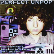 Perfect Unpop: Peel Show Hits and Long Lost Lo-Fi Favourites - Vol 1. 1976-80