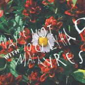 Maybe Not - Single