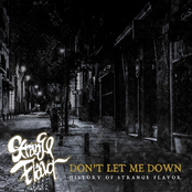 DON'T LET ME DOWN ～ HISTORY OF STRANGE FLAVOR
