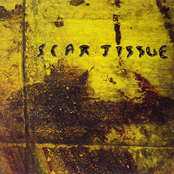 Cascade by Scar Tissue