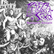 Apocalypsis Evangelii