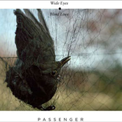 Starlings by Passenger