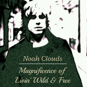 The Magnificence Of Livin’ Wild & Free