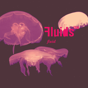 The Fluids: Fluid