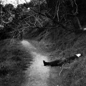 TheWitchAndTheWizard