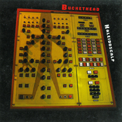 The Android Of Notre Dame by Buckethead