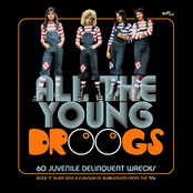 All The Young Droogs (Rock 'N' Glam And A Flavour Of Bubblegum From The '70s) CD1