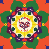 In Between Lives