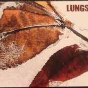 Kinsman by Lungs