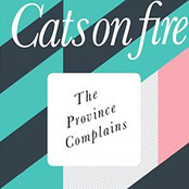 Heat And Romance by Cats On Fire