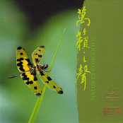 Nature 's Concertos