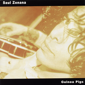 Saul Zonana: Guinea Pigs