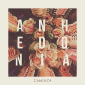 Caminos: Anhedonia