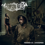 Fragments of Awareness