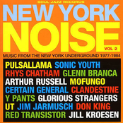 The Static: New York Noise, Volume 2: Music From the New York Underground 1977-1984