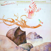 Shakti: Natural Elements (With John McLaughlin)