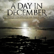 Lost in Fields of Imagination and Skies of Expectations