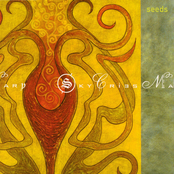 Seeds cover