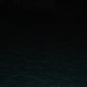 Pulmonary Oedema And Production Line Debris