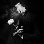 The Pain Keeper