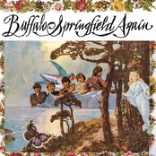 buffalo springfield again