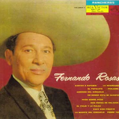 fernando rosas