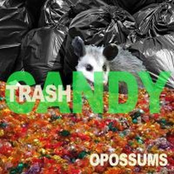 Trashcandy