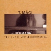 Vestlus Hermanniga by Tõnis Mägi