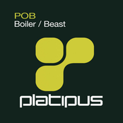 boiler / beast