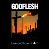 Circle Of Shit (to The Point Dub) by Godflesh
