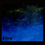 Elvy